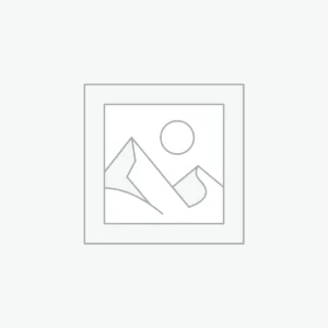 Corporation Income Tax - T2 Return Preparation and Filing